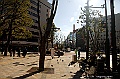ikebukuro last day 14